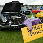 Ripon Classic Car Gathering