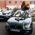 Prestatyn Classic Car Show